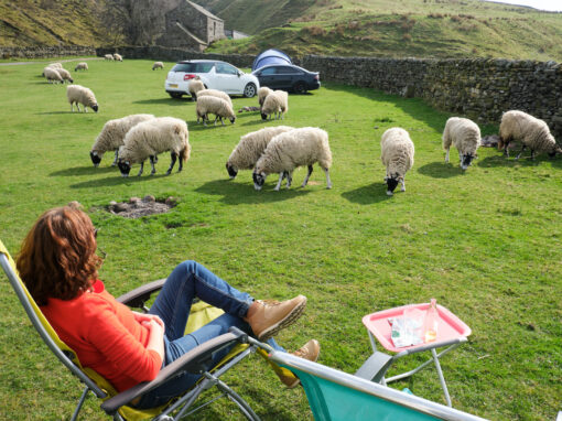 Rasenmäher von England (Schafe)