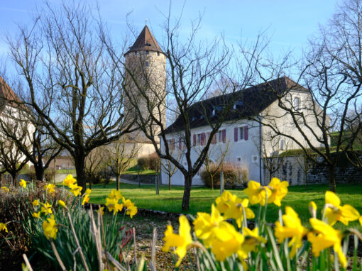 Wohnmobil Stellplatz Schweiz Jura Porrentruy